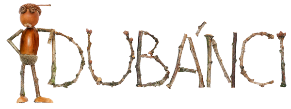 Acorn elves logo with figure and transparent background