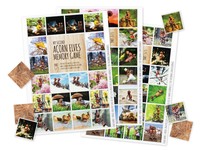 Acorn elves memory games