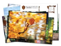 Acorn elves postcards